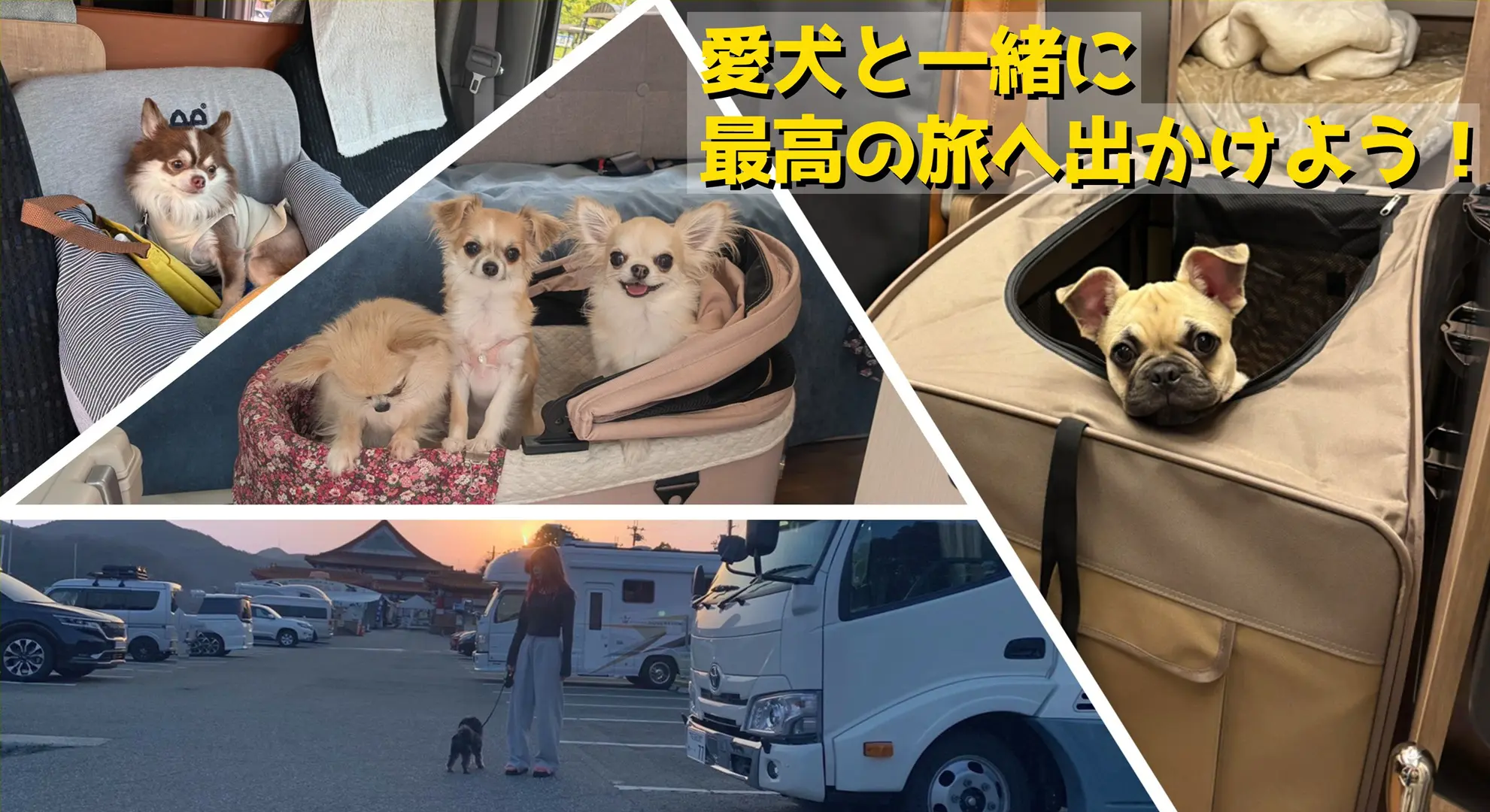 トップページ写真_ペット同乗可