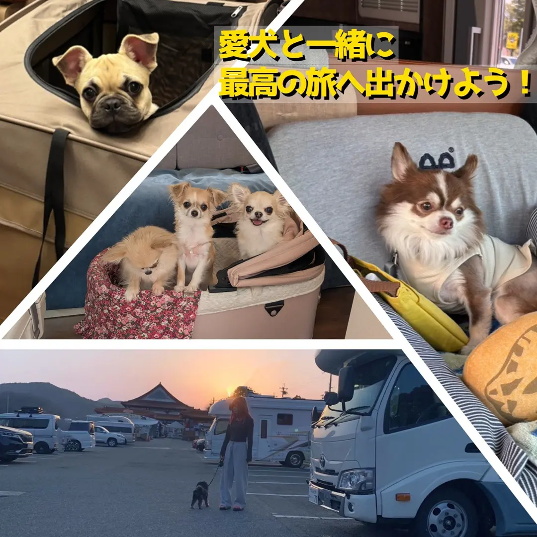 トップページ写真2